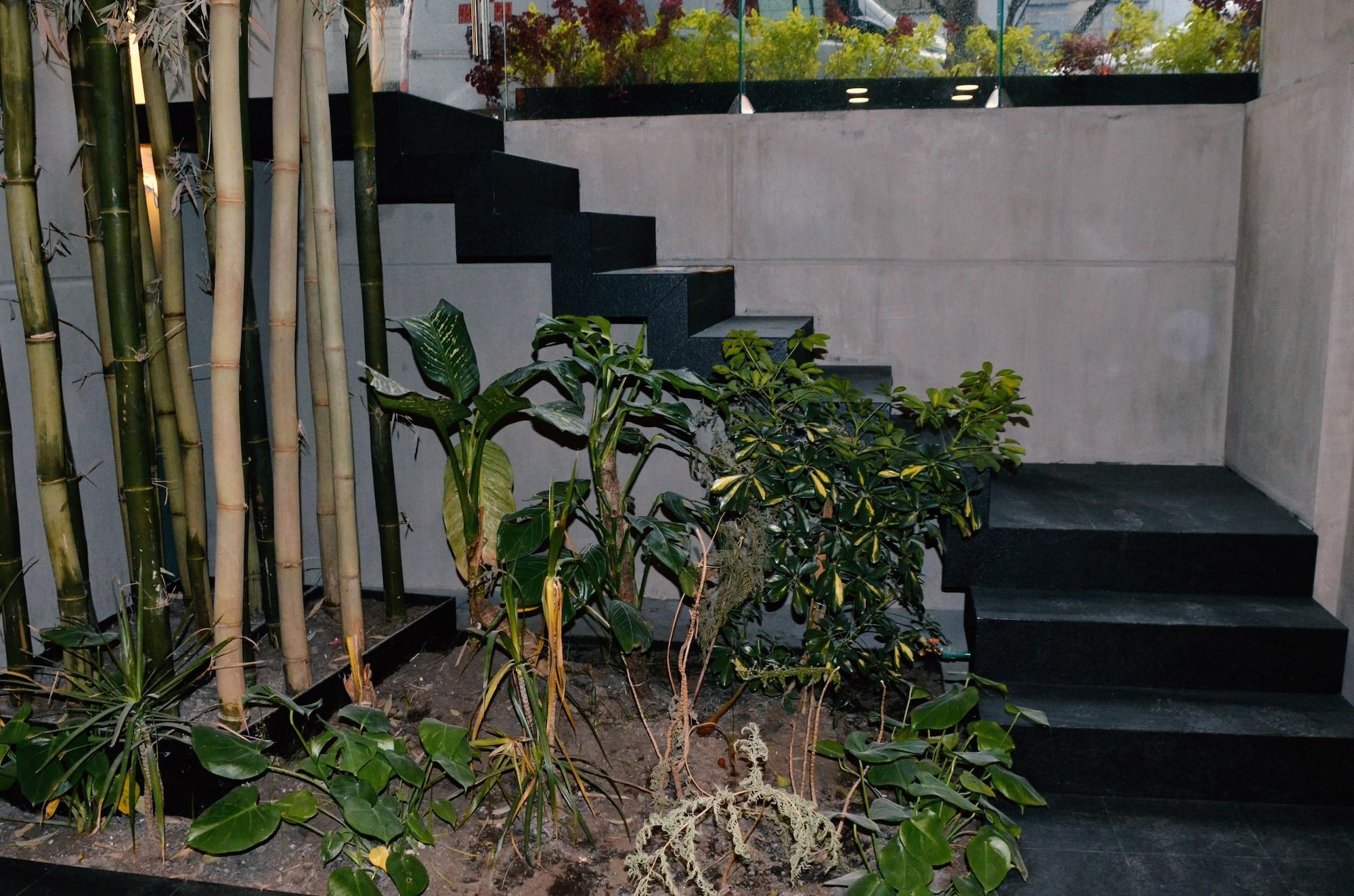 Armonik Suites By Casanevo Mexico City Exterior photo